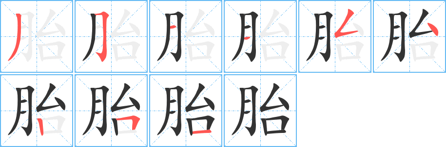 胎的筆順筆畫