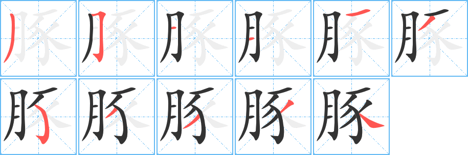 豚的筆順筆畫