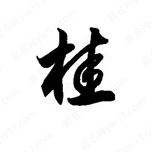 王天喜寫(xiě)的草字桂